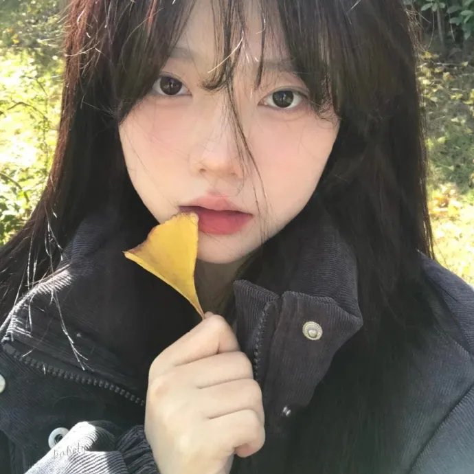 我的宠物是大象